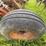 #2608-•-glencoe-(9)-shank-disc-chisel-image-11