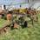 two-bottom-plow-image-3