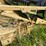 new-holland-973-image-12