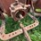 #2567-•-mccormick-farmall-560-gas-tractor-image-15