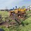 international-14-image-2