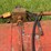#2625-•-brady-144-(4)-row-stock-chopper-image-15