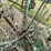 john-deere-5-image-12