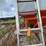 #2587-•-aluminum-extension-ladder-image-9