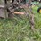 #2656-•-kewanee-17'-field-cultivator-image-33