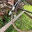 #2608-•-glencoe-(9)-shank-disc-chisel-image-24