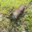 john-deere-a-image-15