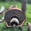 blizzard-no.-400-ensilage-blower-image-9