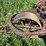 holt-caterpillar-pull-type-combine-image-10