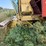 new-holland-tr70-image-14