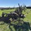 oliver-two-bottom-plow-image-1