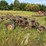 #2651-•-john-deere-(3)-bottom-plow-image-13