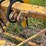 #2618-•-vermeer-3-point-bale-mover-image-13