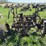 oliver-four-bottom-plow-image-13