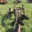 two-bottom-plow-image-5