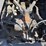 2001-kenworth-t800-image-14