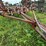 #2621-•-wil-rich-27'-field-cultivator-image-33