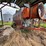 #2585-•-farm-fans-grain-dryer-image-4