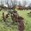 case-two-bottom-14”-pull-type-plow-image-5