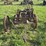 three-bottom-plow-image-7