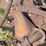 ihc-3-bottom-plow-image-15