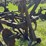 two-bottom-plow-image-10