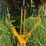turf-blazer-321-image-48
