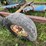 #2658-•-tandem-axle-28'-trailer-frame-image-5