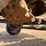 asphalt-zipper-az360-image-11