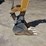 2010-caterpillar-303c-cr-mini-excavator-image-32