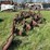 oliver-four-bottom-plow-image-2