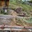 #2591-•-(4)-sections-of-j-bunk-image-2