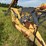 new-holland-973-image-23