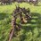 three-bottom-plow-image-3