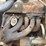 united-tractor-company-tug-image-44