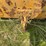 united-tractor-company-tug-image-13