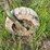 #2612-•-7'-john-deere-brush-mower-image-9
