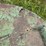 #2612-•-7'-john-deere-brush-mower-image-24