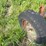 #2639-•-running-gear-with-guard-rail-pieces-image-10