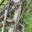 john-deere-disc-plow-image-19