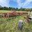 #2648-•-krause-20'-wing-disc-image-8