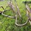 #2613-•-(10)-wheel-v-rake-image-8