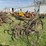 horse-drawn-cultivator-image-3