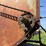holt-caterpillar-pull-type-combine-image-46