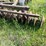 #2645-•-krause-10'-disc-image-11