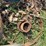 blizzard-no.-400-ensilage-blower-image-30