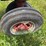 #2567-•-mccormick-farmall-560-gas-tractor-image-42