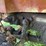 reo-truck---has-title!-image-61