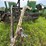 john-deere-5-image-28