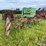 #2613-•-(10)-wheel-v-rake-image-3